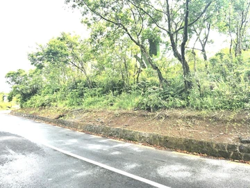 Residential Land