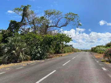 Agricultural Land for Sale at St Antoine Private Residence in the North, near Goodlands 