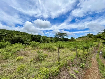 Agricultural Land