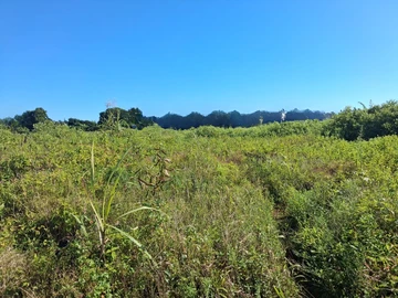 Agricultural Land
