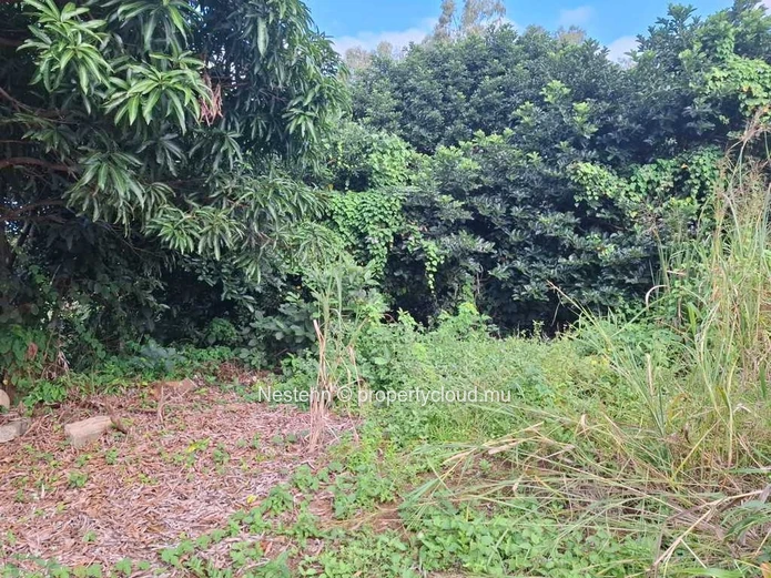 Land of 4965.12 m² 2.8 kms from main road.