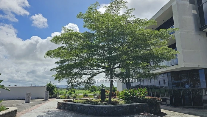 Bureau pratique au calme et entouré de verdure, à proximité de l'aéroport