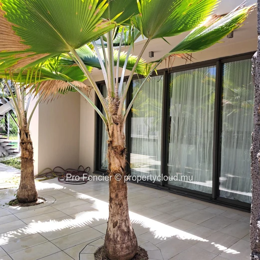 Villa à Anahita - Belle Villa Contemporaine