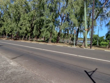 Commercial Land