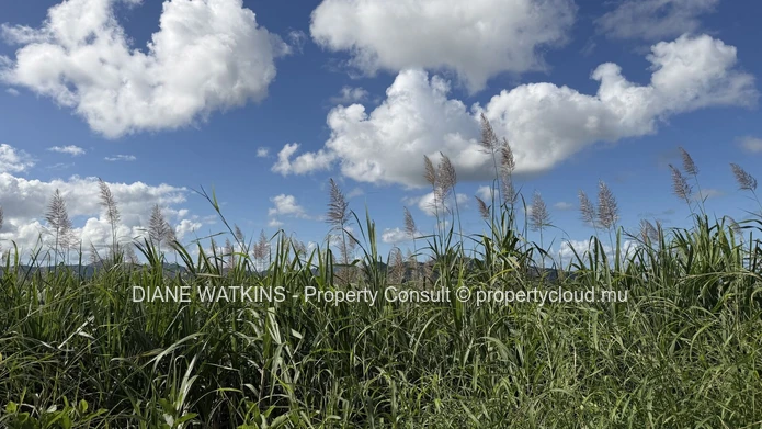 Terrain agricole exceptionnel à vendre – Deux Bras, île Maurice | 4 693 m²