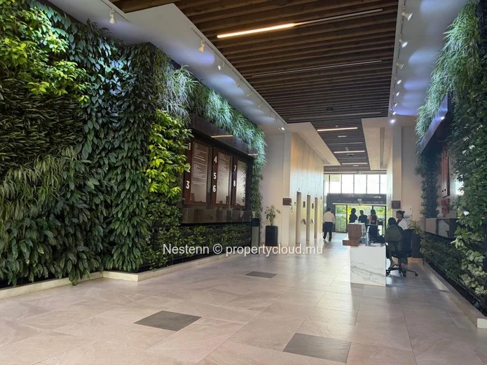 Espaces bureaux de 246m2