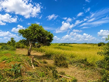 Agricultural Land