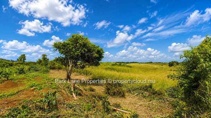 Vaste terrain agricole de 15 360 m² à Trianon – Vue panoramique sur la montagne