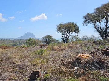 Residential Land for sale in Black River
