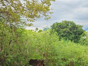 Residential Land