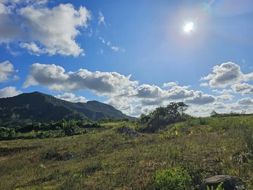 Agricultural Land