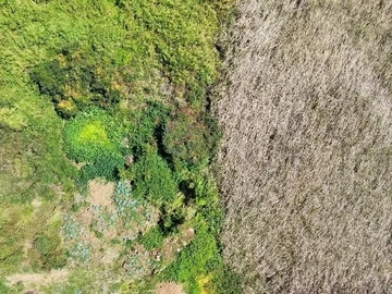Terrain Résidentiel