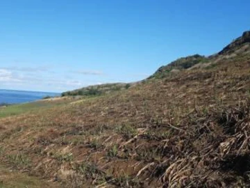 Terrain Agricole
