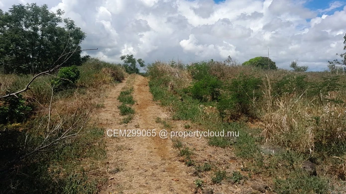Terrain de 13.32 arpent à vendre à Panchavati - Île d’Ambre