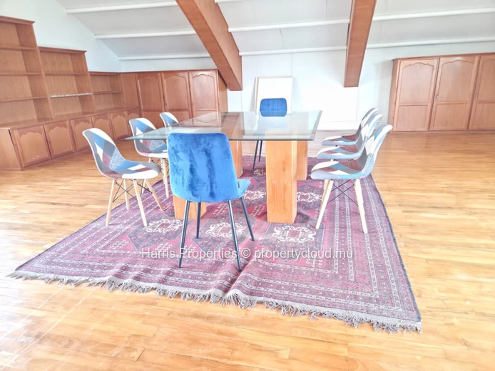 Penthouse Polyvalent / Espace De Bureau À Vendre