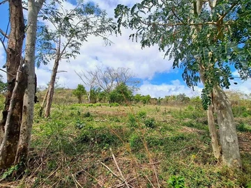 Land