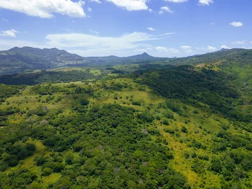 Terrain Agricole