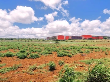 Commercial Land
