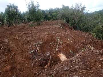 Agricultural Land