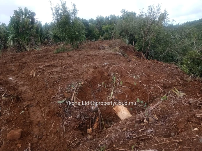Terrain Agricole En Vente À Beau Climat