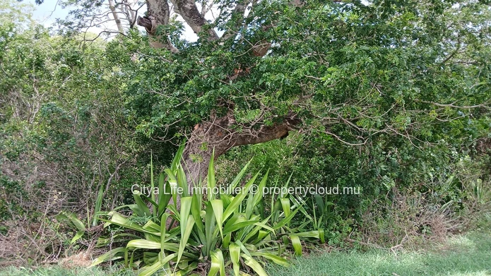 Prime Land for Sale in Domaine de Palmyre with Stunning Mountain Views