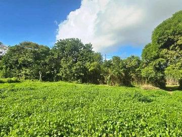 Terrain