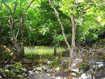 Residential Land