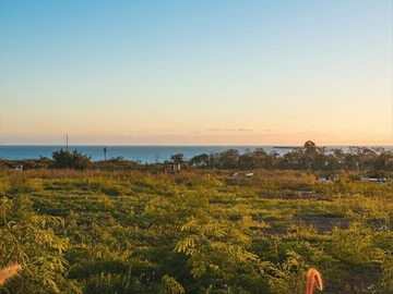 Residential Land