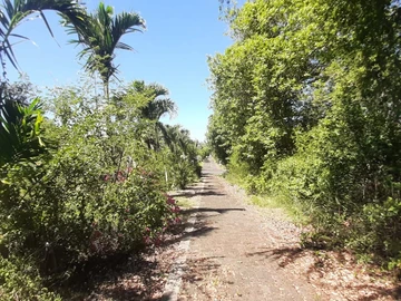Residential Land