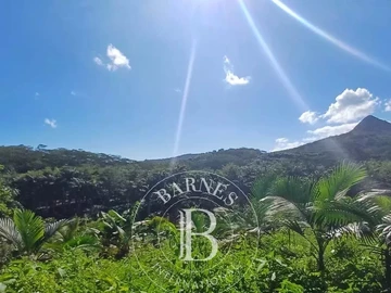 Agricultural Land