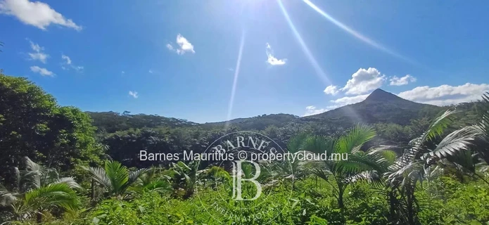 CHAMAREL - Agricultural land - 5563m²