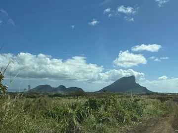 Agricultural Land