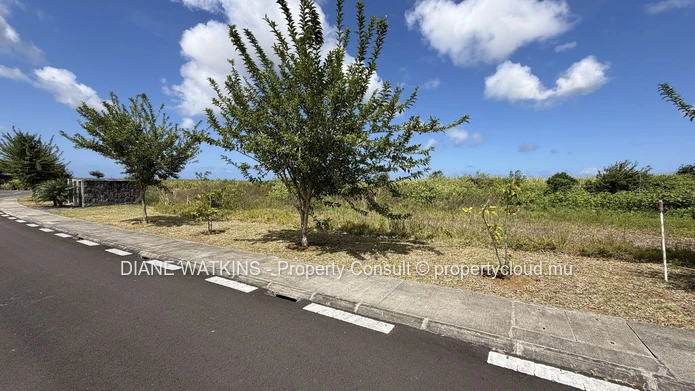 Terrain résidentiel à vendre | Savannah Connected Countryside | 1 097 m²