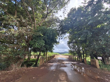 Agricultural Land