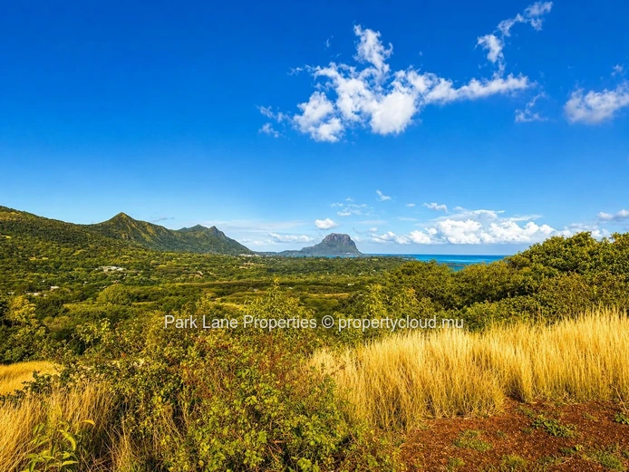 Terrain d’Exception avec Vue Panoramique au Domaine de Palmyre