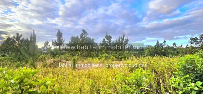 Superb plot of 345 toises (1,311 m² / 31 perches) located in a private gated community in Highlands