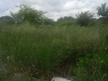 Commercial Land