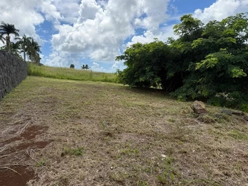 Land