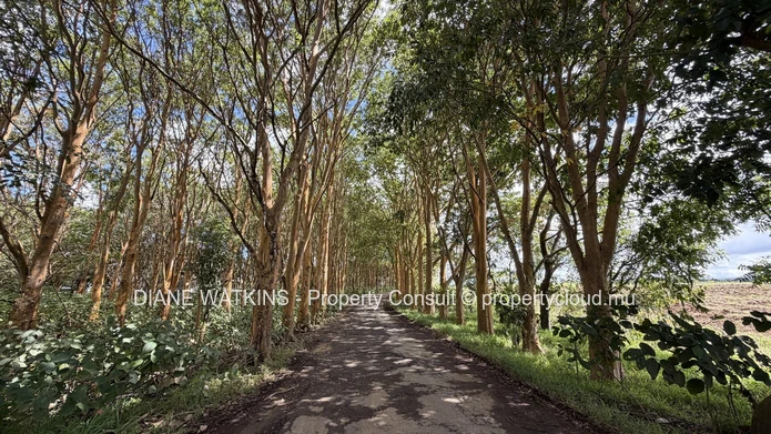Terrain résidentiel à vendre | Savannah Connected Countryside | 1 097 m²