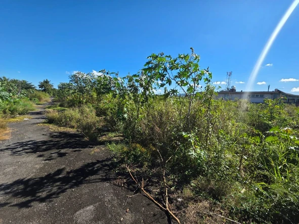 Residential Land