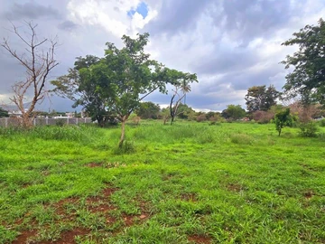 Agricultural Land