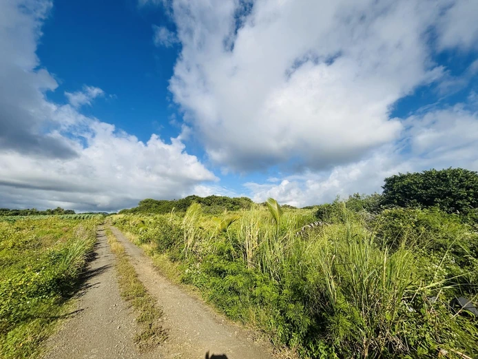 Prestigious 4-Arpent Development Site in Flacq