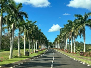Residential Land