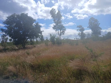 Residential Land