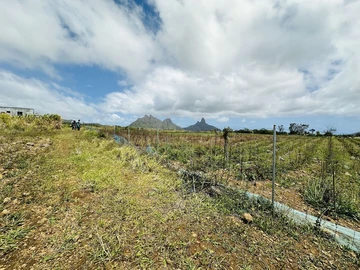 Terrain Agricole