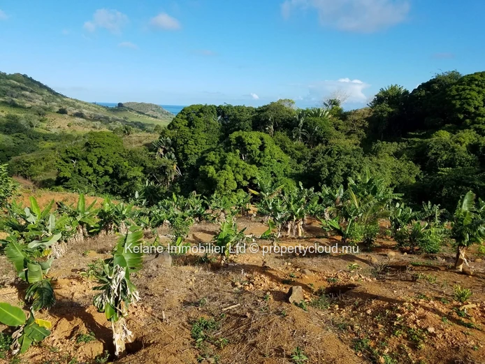 13.38 Arpents of Land for Sale | Anse Jonchée | Grand Port