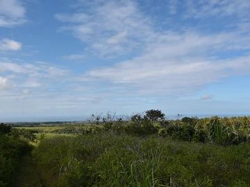 Terrain Agricole