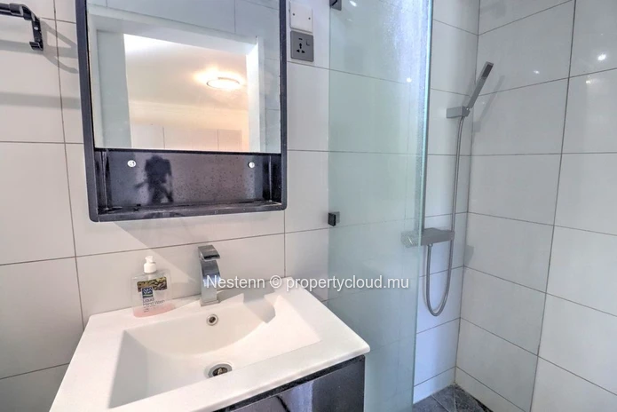 Appartement de 3 chambres récemment rénové à louer à Pointe aux Canonniers