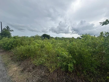 Residential Land