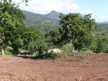 Terrain Résidentiel